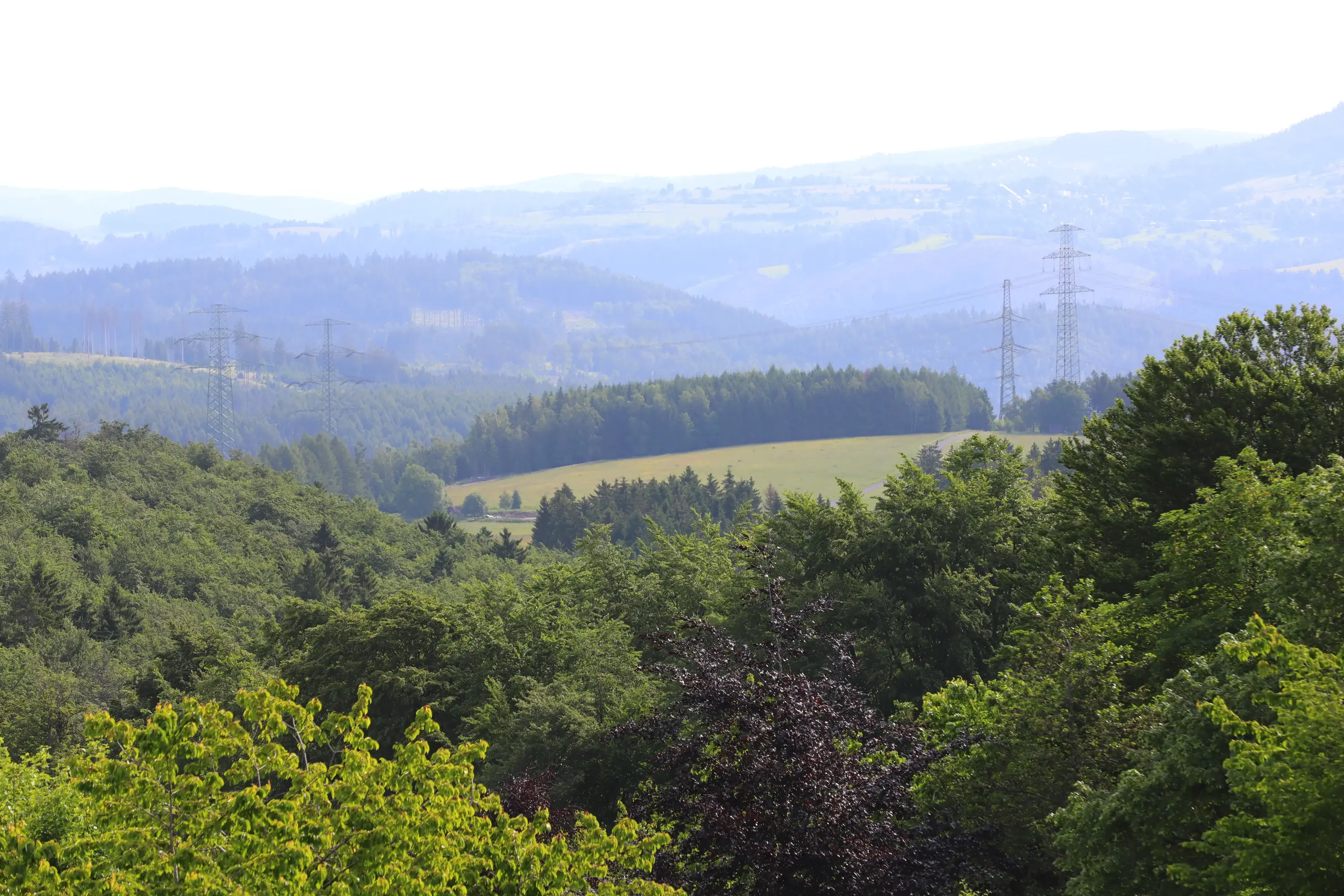 Weiter Blick über bewaldete Hügel des Thüringer Waldes im Dunst, im Mittelgrund eine Wiese und Hochspannungsmasten.