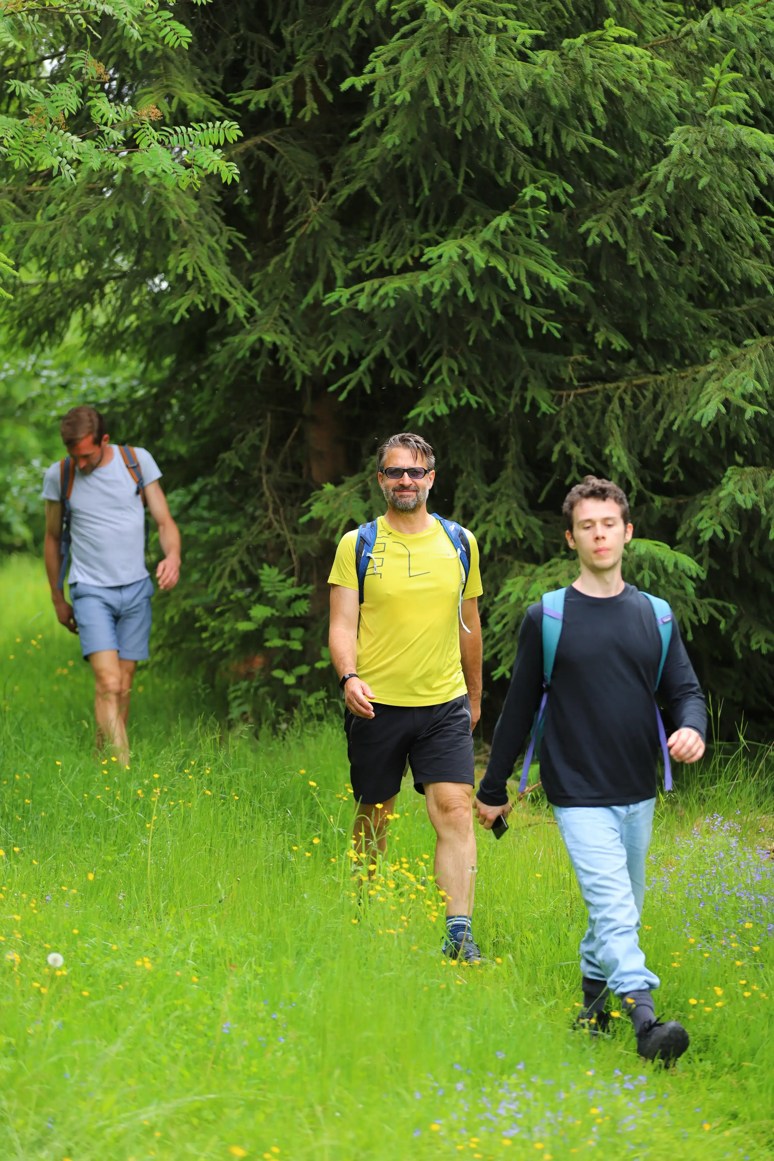 Drei Personen wandern durch eine sommerliche Blumenwiese an einem Fichtenwaldrand.