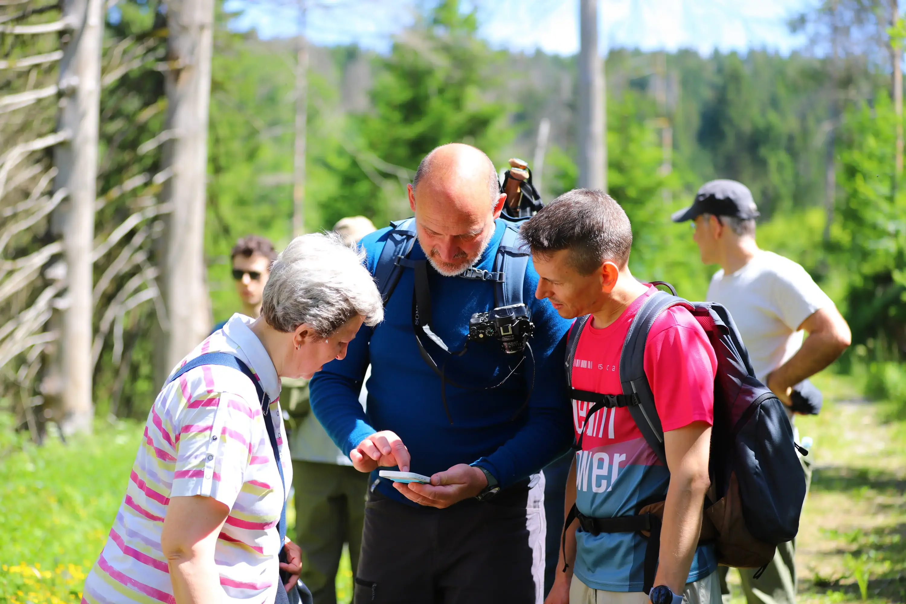Routencheck unterwegs Drei Wandernde schauen gemeinsam auf ein Smartphone, im Hintergrund geschädigte Bäume.